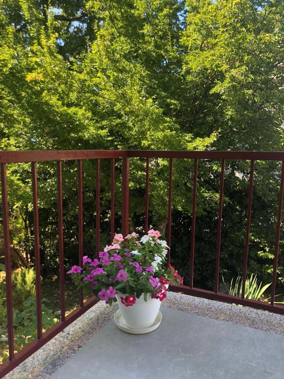 Apartament Kora