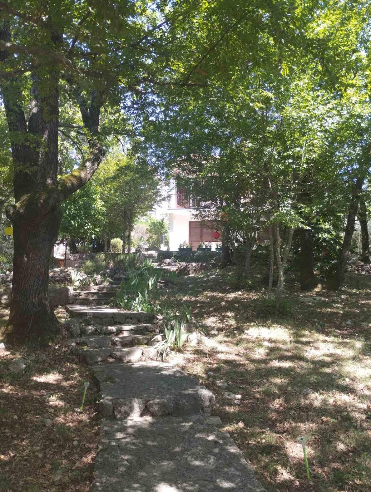 Apartament Kora *